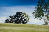 Advanced Group Silver_Grey Bikes